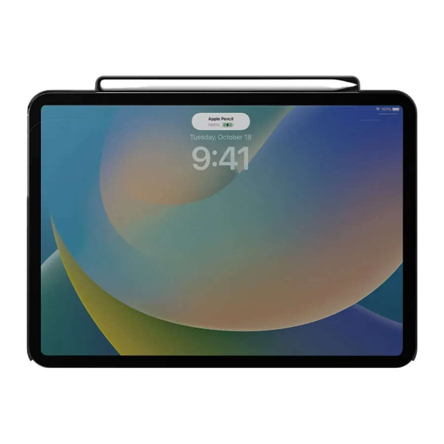 Uniq Apple iPad Pro 11 (2024) Axel Manyetik Tablet Kılıf - Siyah - görsel 4